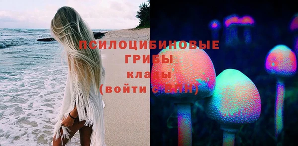 эйфоретик Вяземский