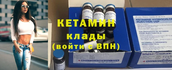 крисы Бородино